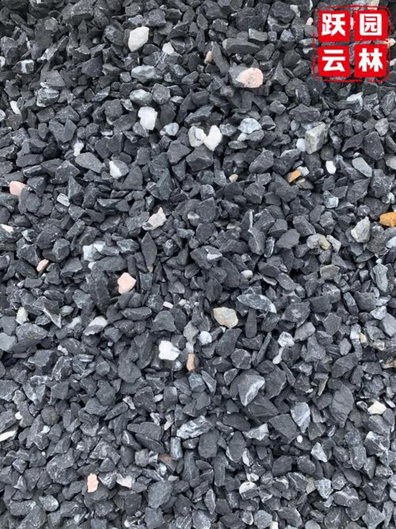 水泥沙石行业的最新趋势与未来方向